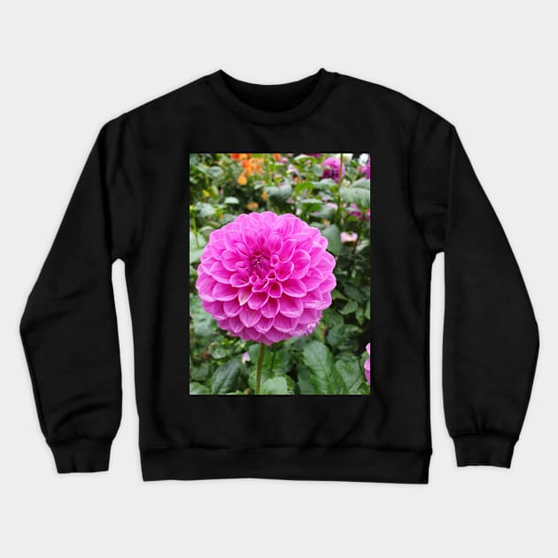 Rainy pink dahlia Crewneck Sweatshirt by claire-l-page